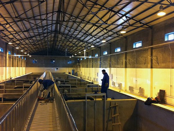 Heilongjiang sewage equipment